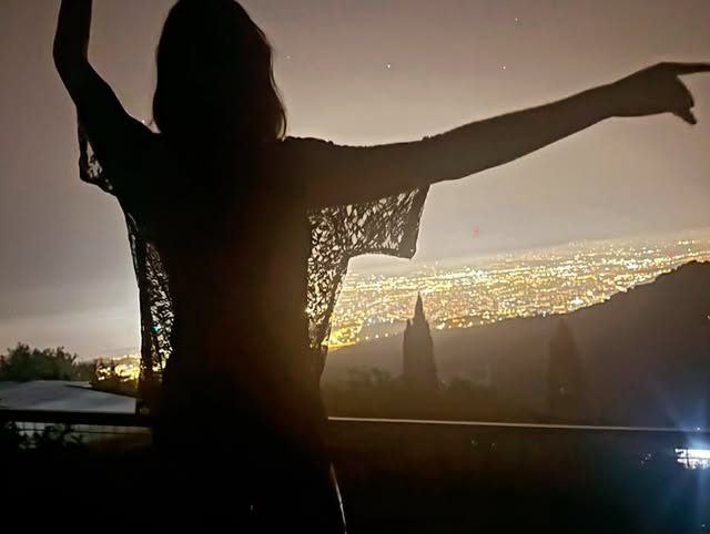 Silueta de Le Viasus frente a un paisaje urbano nocturno